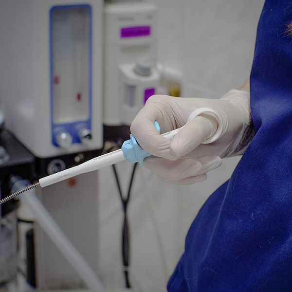 Physician assistant holding biopsy clamp during endoscopy
